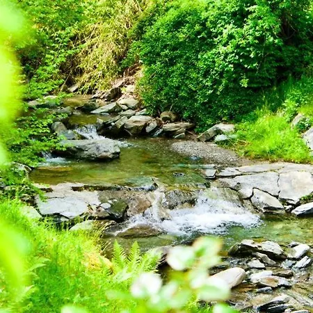 Hotell Hotel Soazza Soazza